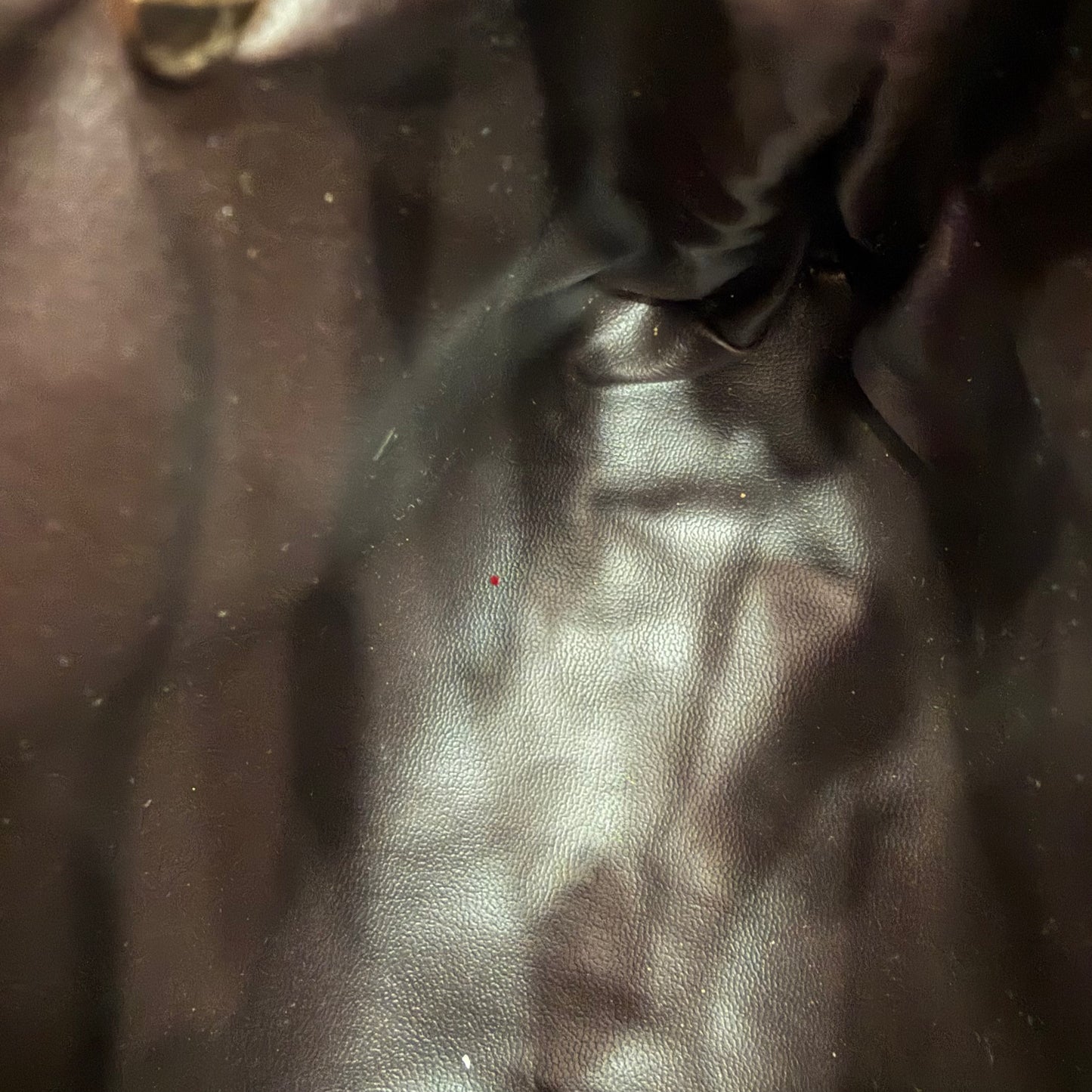 Authentic Celine Crossbody Bag with conversion kit