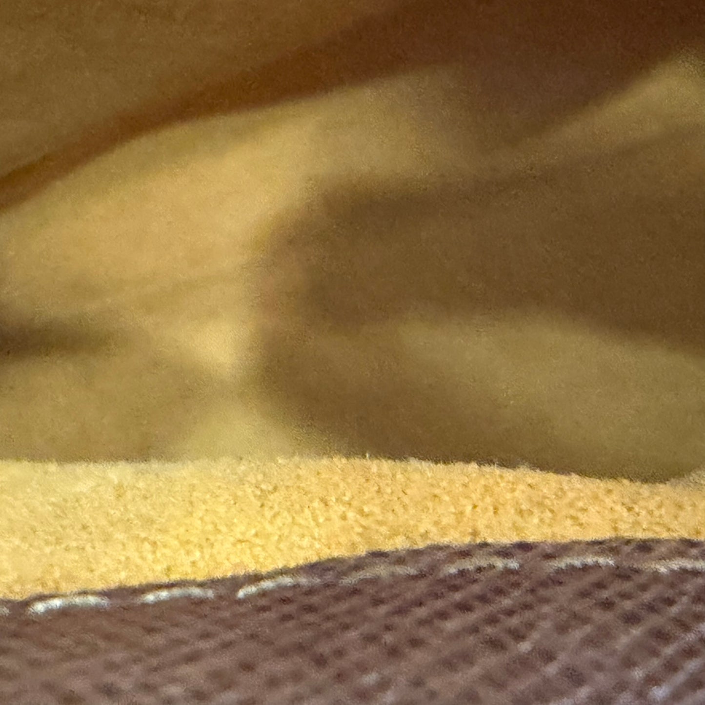Louis Vuitton Monogram Musette Tango Shoulder Bag