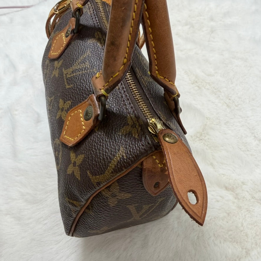Louis Vuitton Brown Monogram Mini Speedy Crossbody Bag