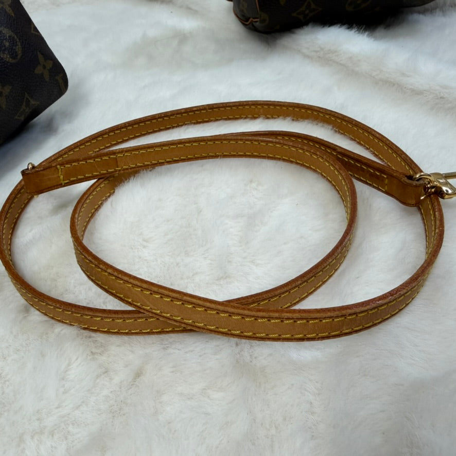 Louis Vuitton Brown Monogram Mini Speedy Crossbody Bag