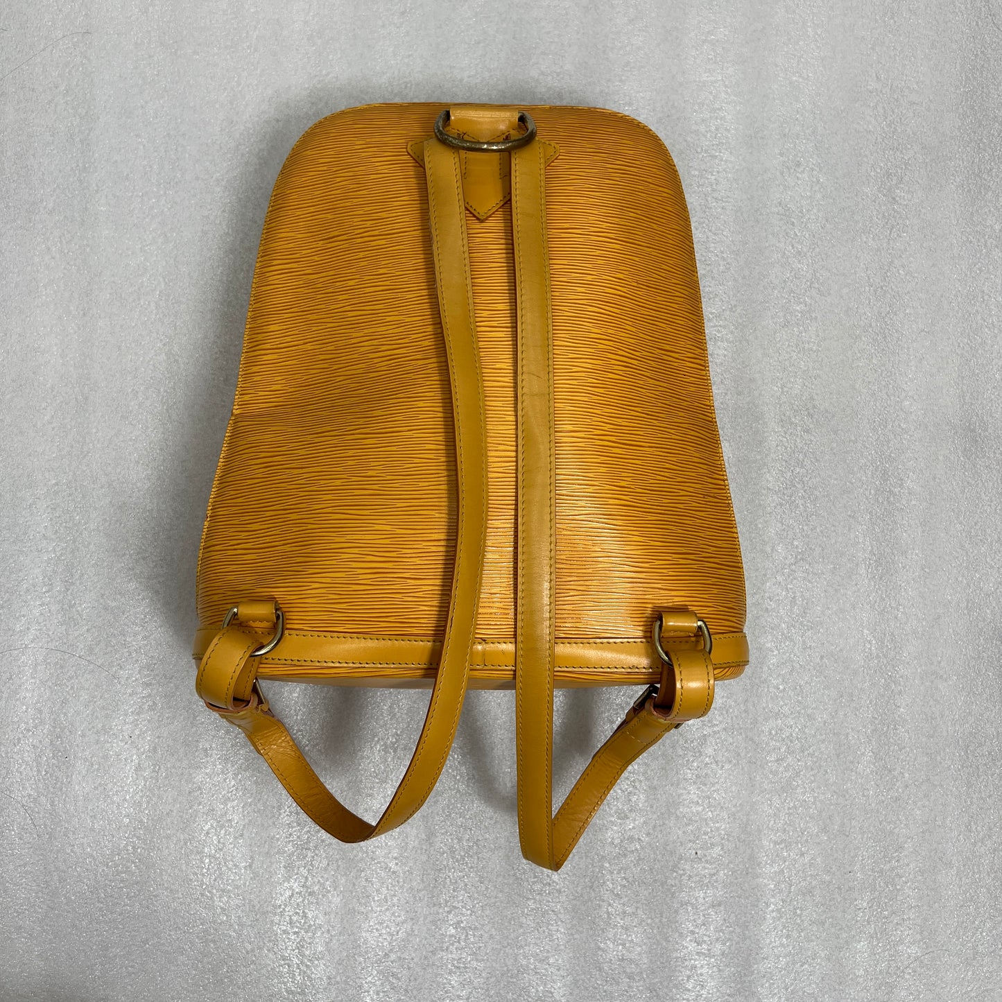 Louis Vuitton Epi Gobelins Backpack