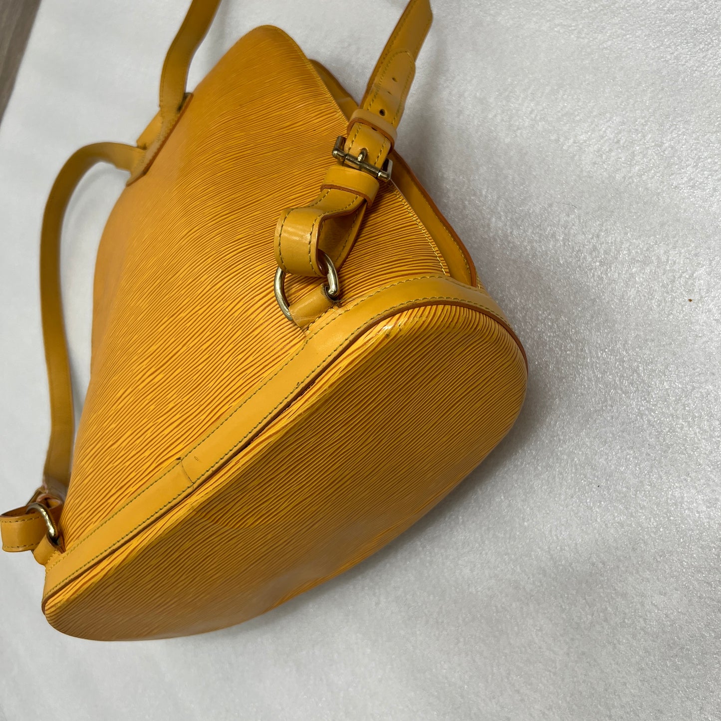 Louis Vuitton Epi Gobelins Backpack
