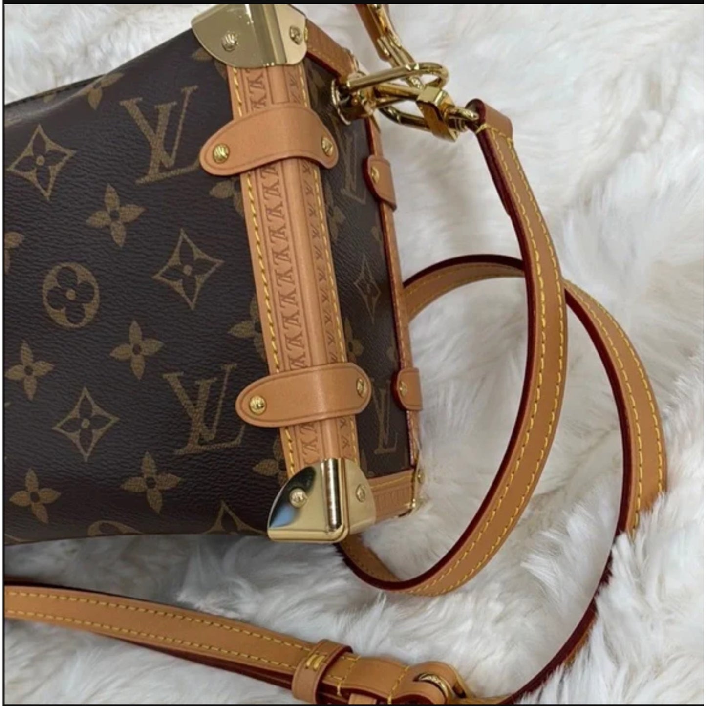 Louis Vuitton Brown Monogram Canvas Crossbody Bag - Side Trunk MM