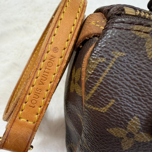 Louis Vuitton Brown Monogram Mini Speedy Crossbody Bag