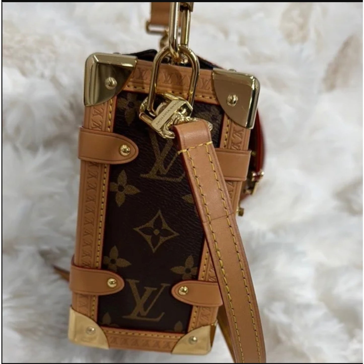 Louis Vuitton Brown Monogram Canvas Crossbody Bag - Side Trunk MM