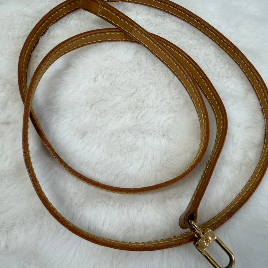 Louis Vuitton Brown Monogram Mini Speedy Crossbody Bag