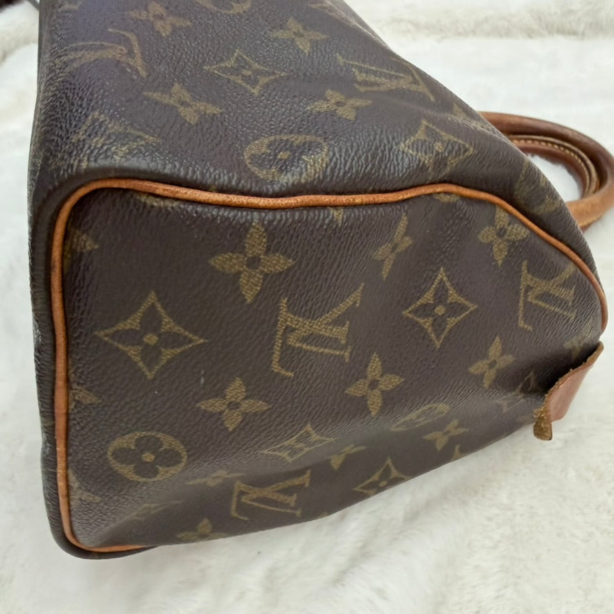 Louis Vuitton Speedy 25