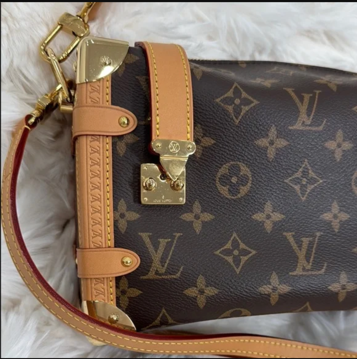 Louis Vuitton Brown Monogram Canvas Crossbody Bag - Soft Trunk