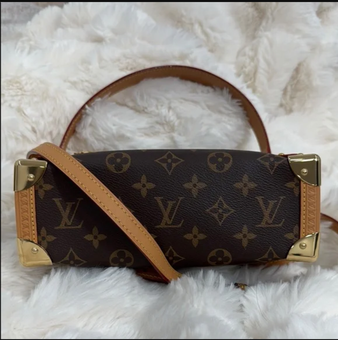 Louis Vuitton Brown Monogram Canvas Crossbody Bag - Soft Trunk