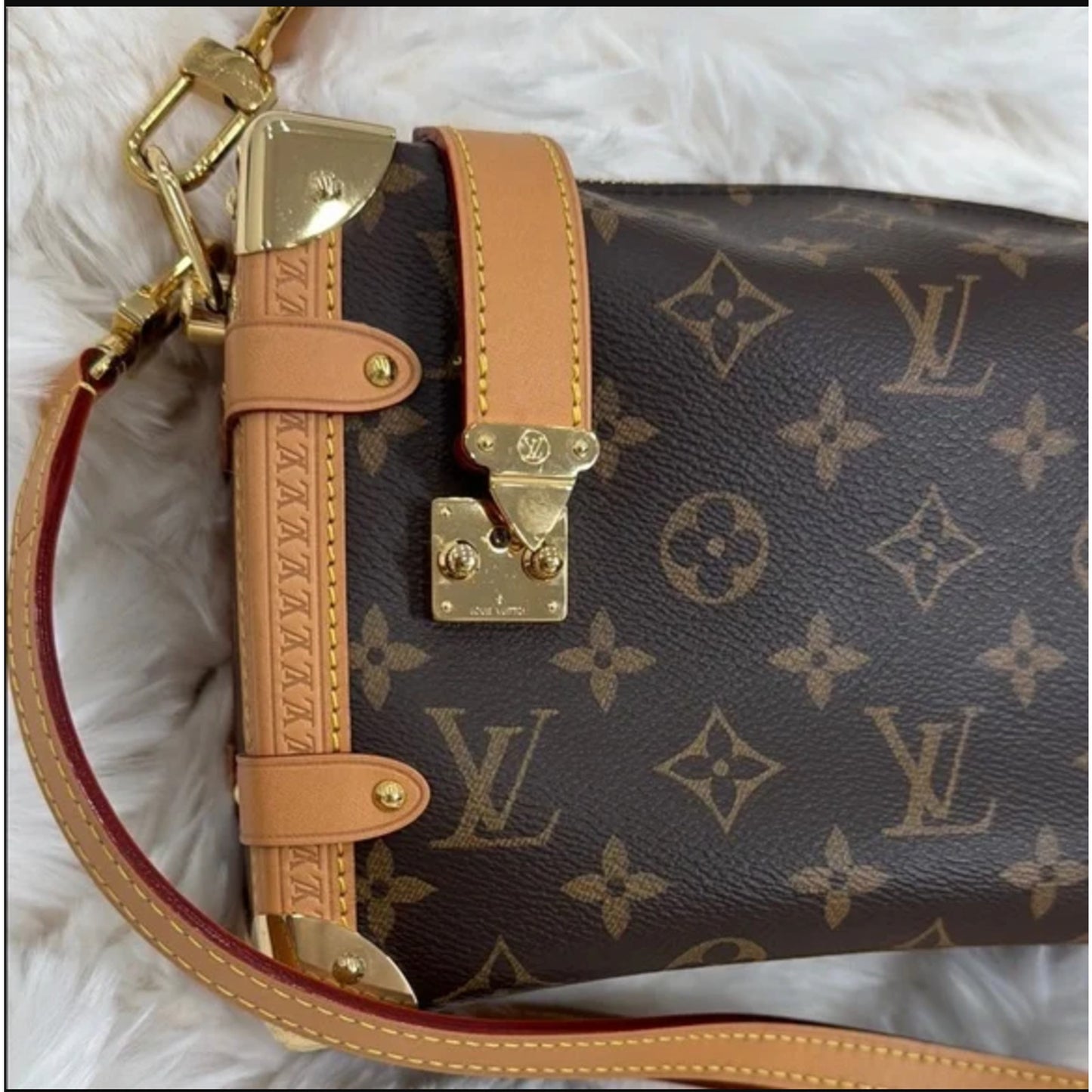 Louis Vuitton Brown Monogram Canvas Crossbody Bag - Side Trunk MM